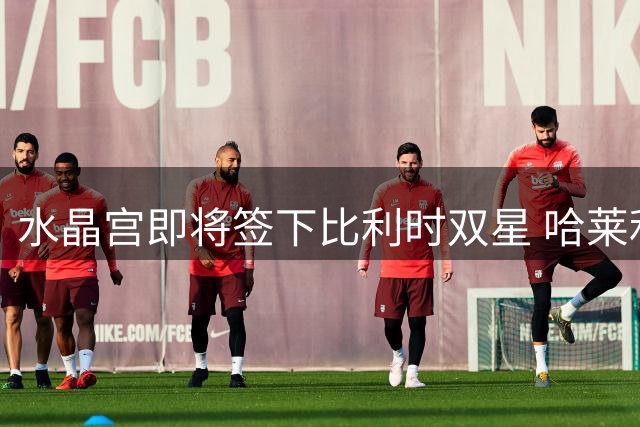 水晶宫即将签下比利时双星 哈莱利转会费创纪录