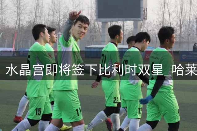 水晶宫即将签下比利时双星 哈莱利转会费创纪录